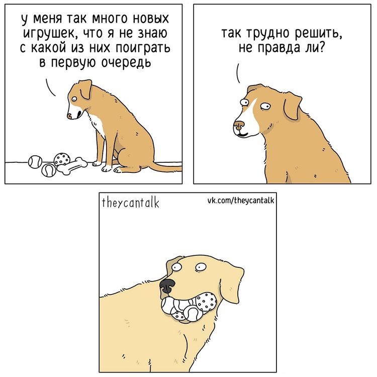 image-20230306105710-13