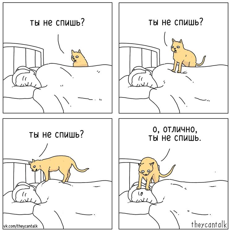 image-20230306105716-15