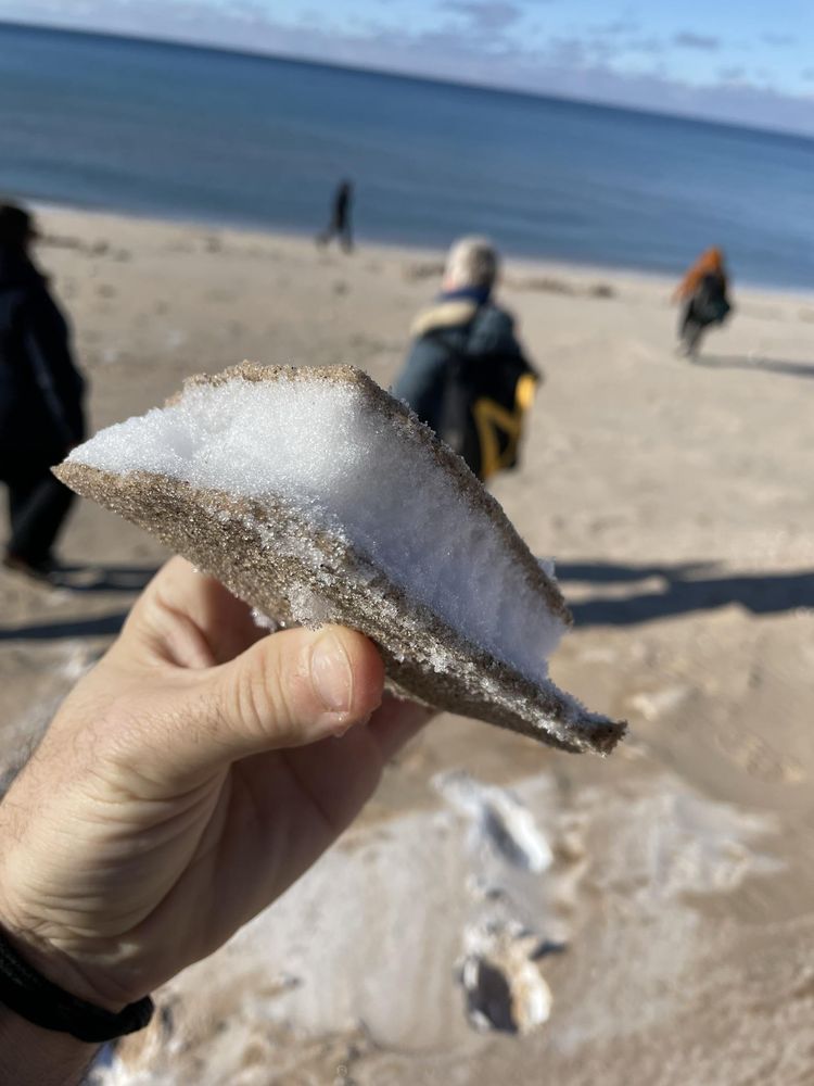 image-20230306120822-1