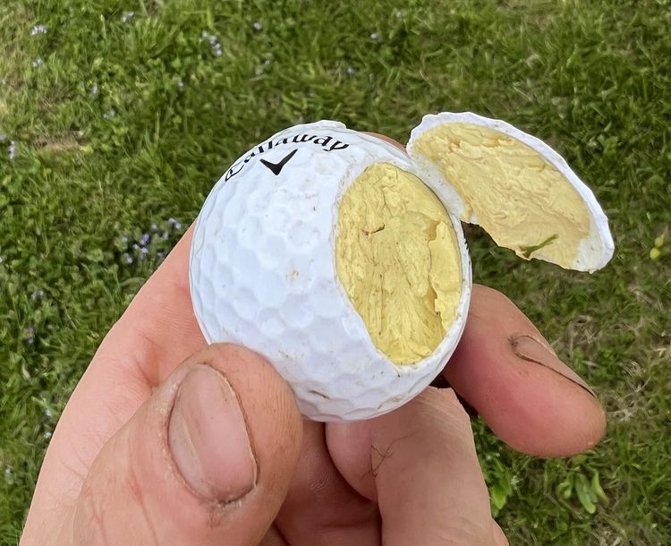 image-20230306120915-5