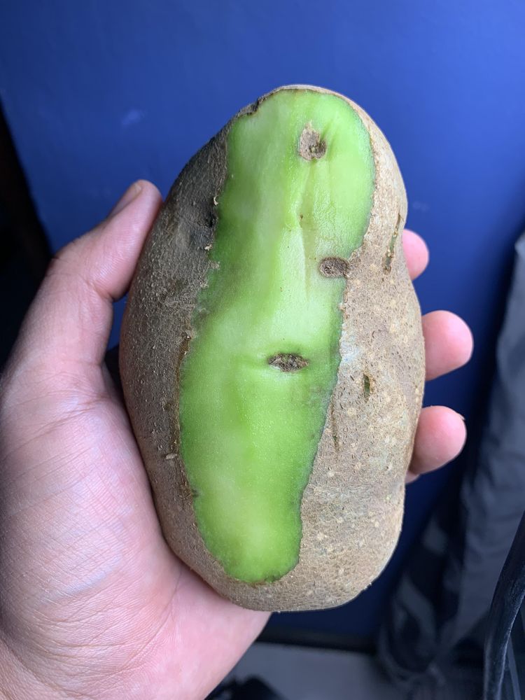 image-20230306120918-6