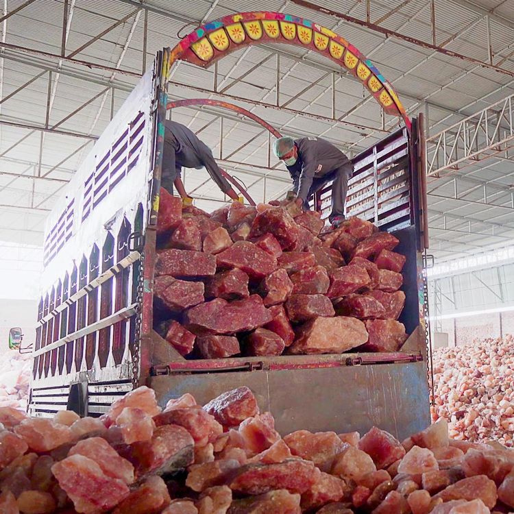 image-20230306120935-9