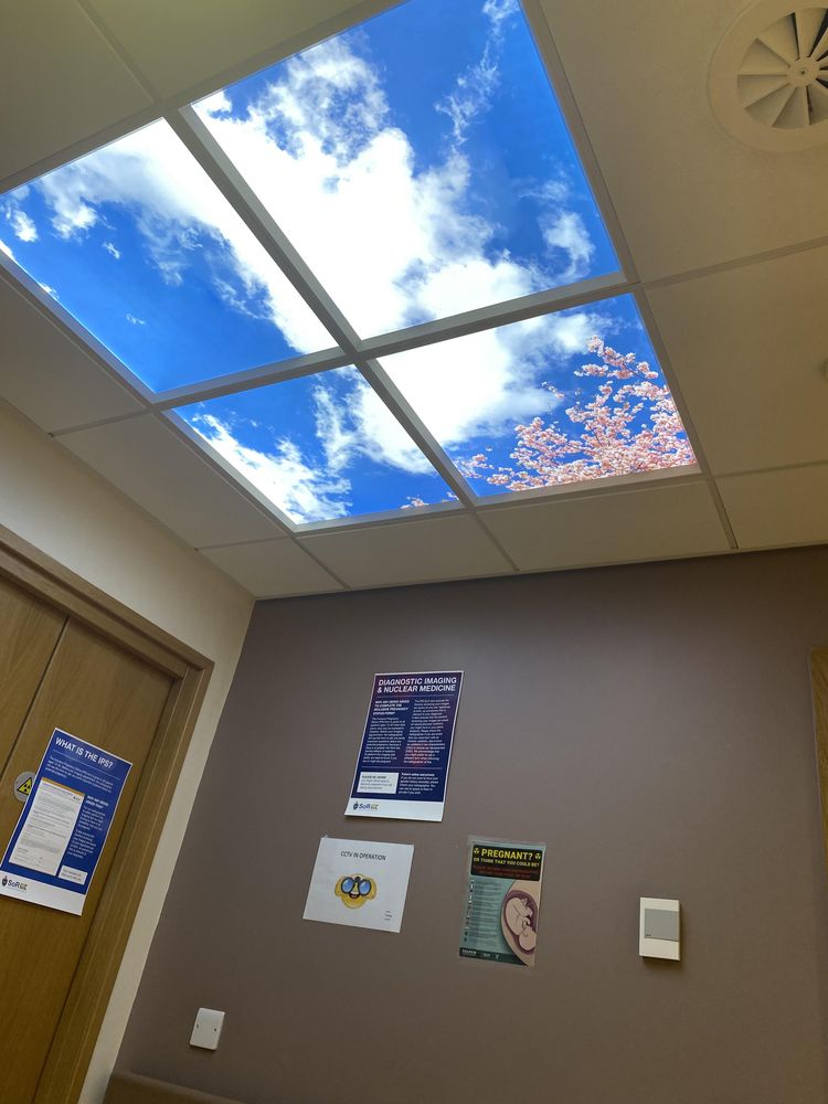 image-20230306150354-1