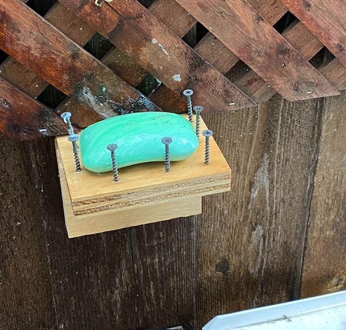 image-20230307135925-7