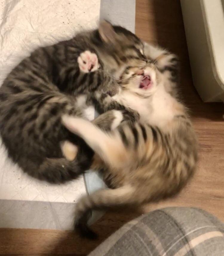 image-20230309170810-2