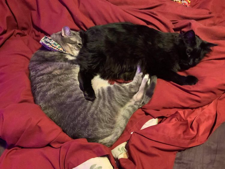 image-20230309170813-3