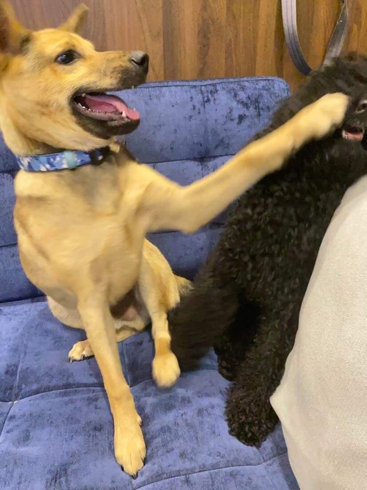 image-20230309170817-4