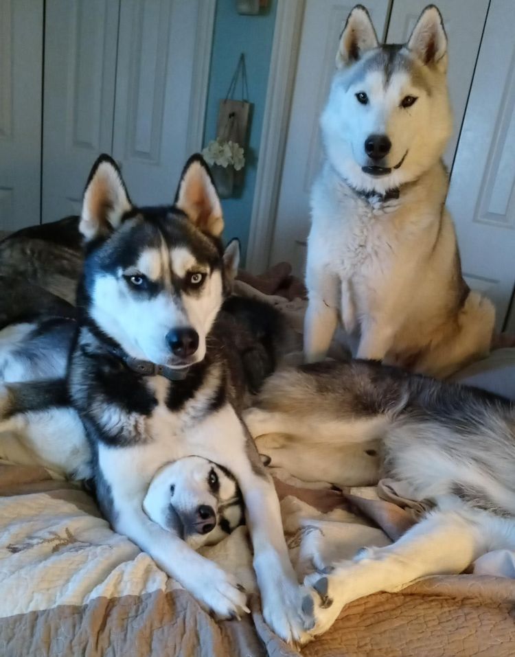 image-20230309170821-5