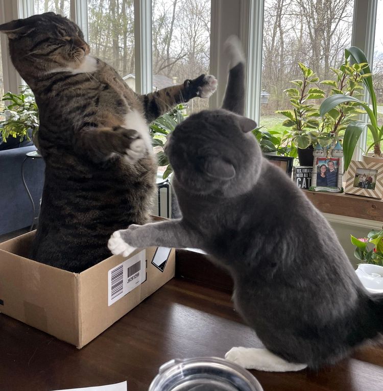 image-20230309170857-6