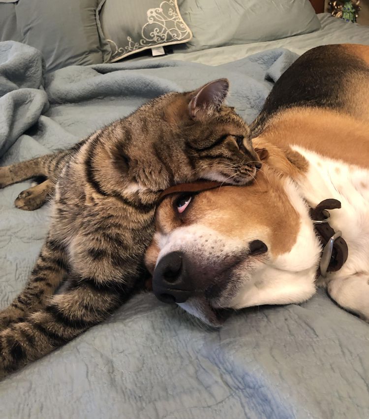 image-20230309170900-7