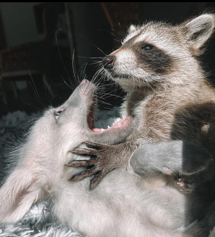 image-20230309170908-9