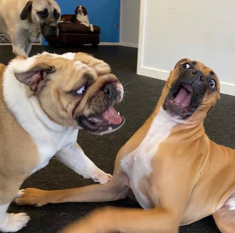 image-20230309170913-11