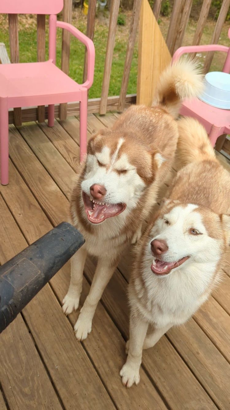 image-20230309170920-13