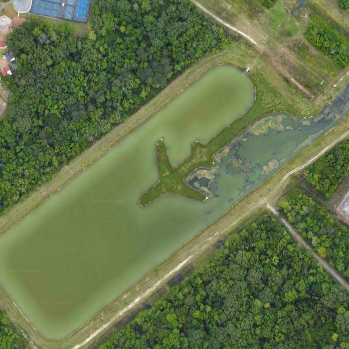 image-20230310163658-5