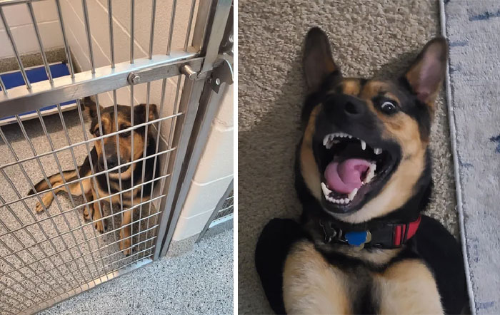 image-20230313152110-1