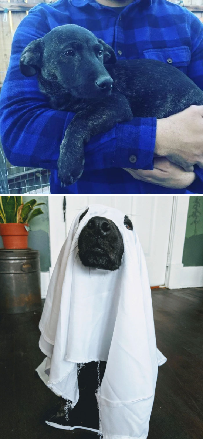 image-20230313152113-2