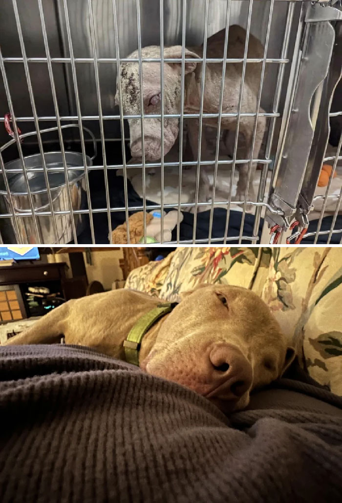 image-20230313152138-4