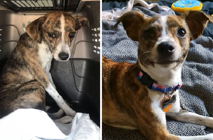 image-20230313152212-11