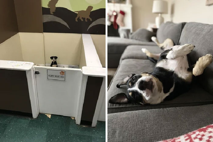 image-20230313152219-13