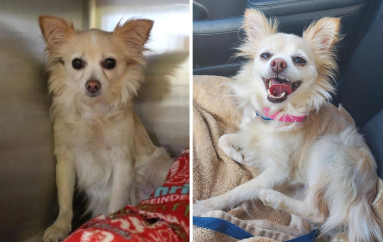 image-20230313152222-14