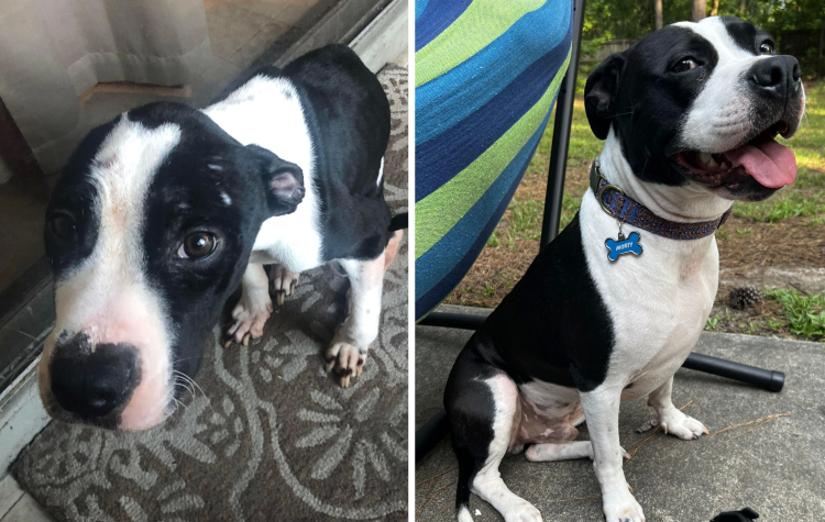 image-20230313152227-15