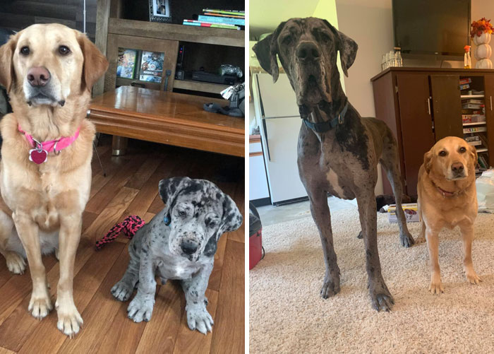 image-20230314130651-2