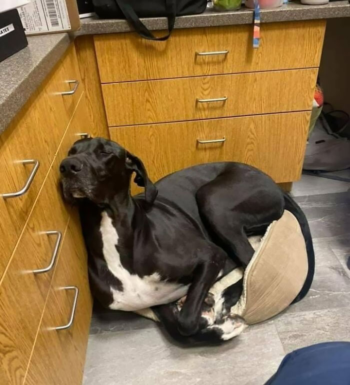 image-20230314130653-3