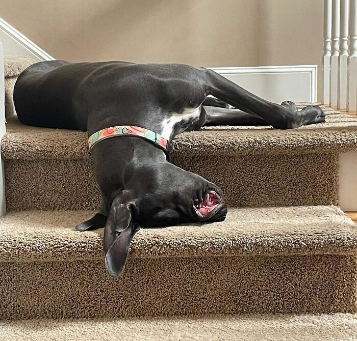 image-20230314131034-6