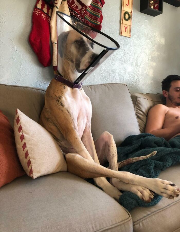 image-20230314131047-10