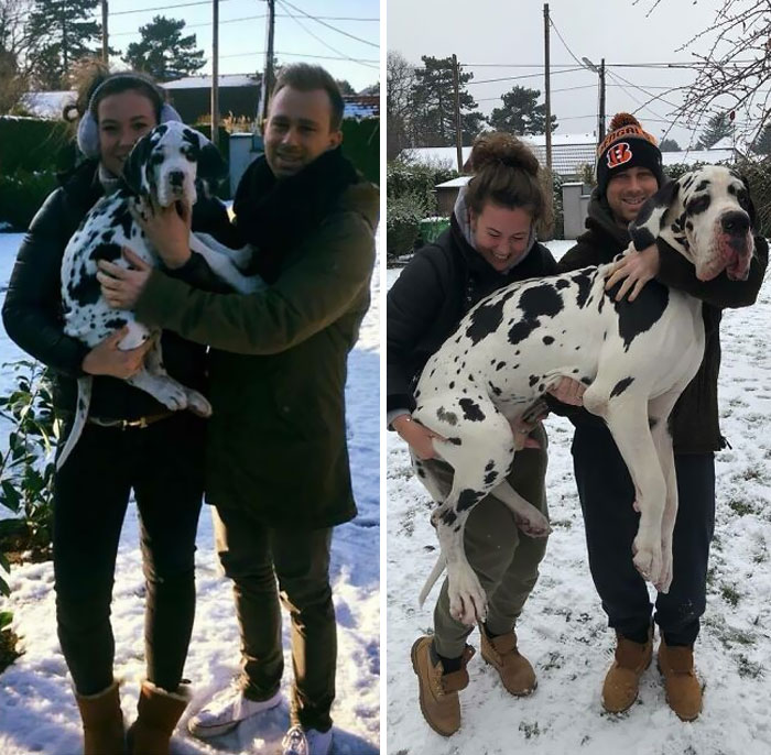 image-20230314131102-14