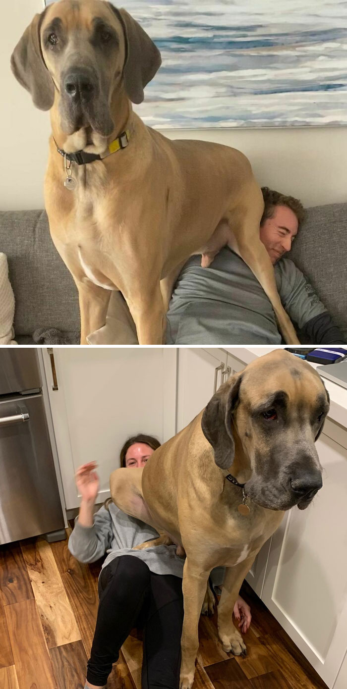 image-20230314131105-15