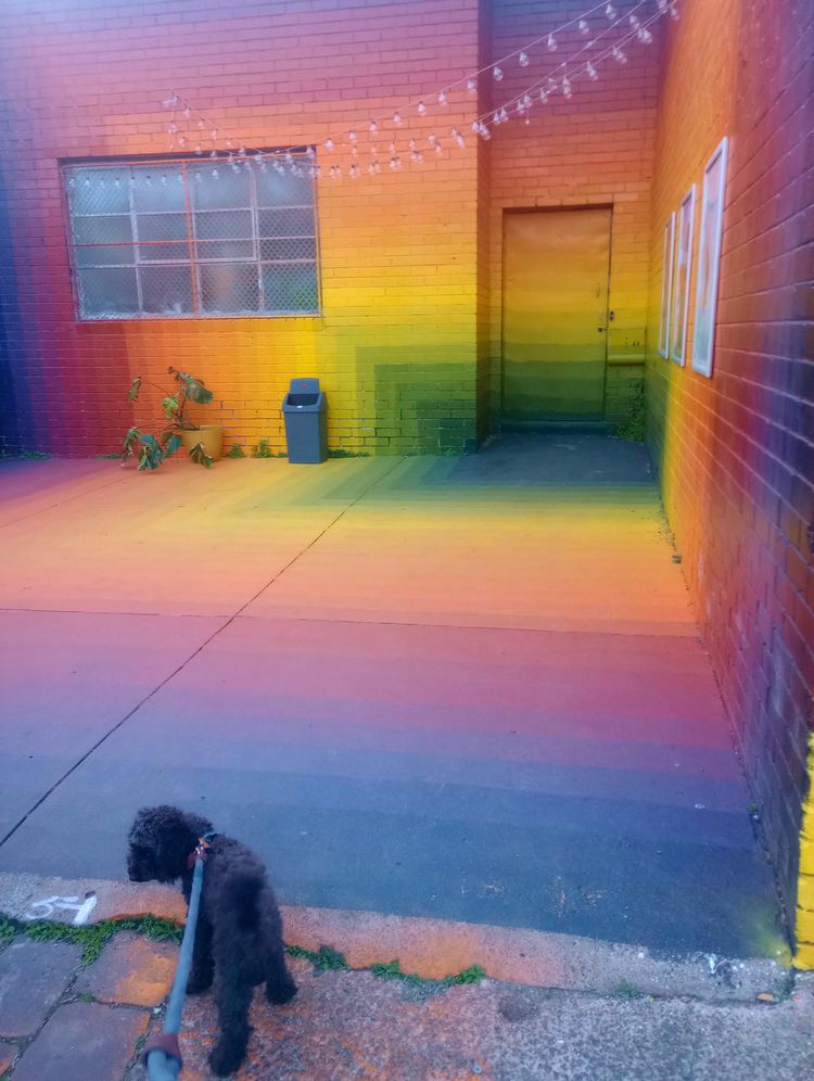 image-20230315120312-10