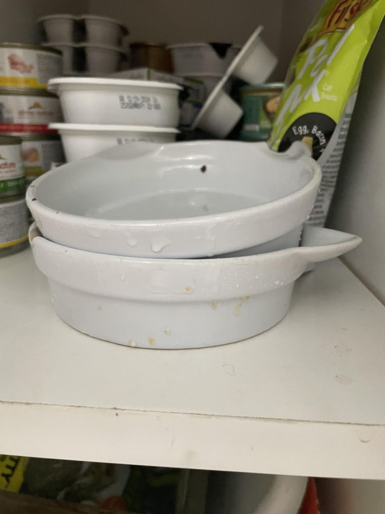 image-20230316182559-7