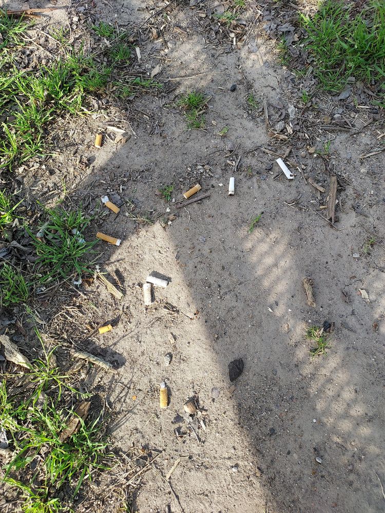 image-20230316182620-13