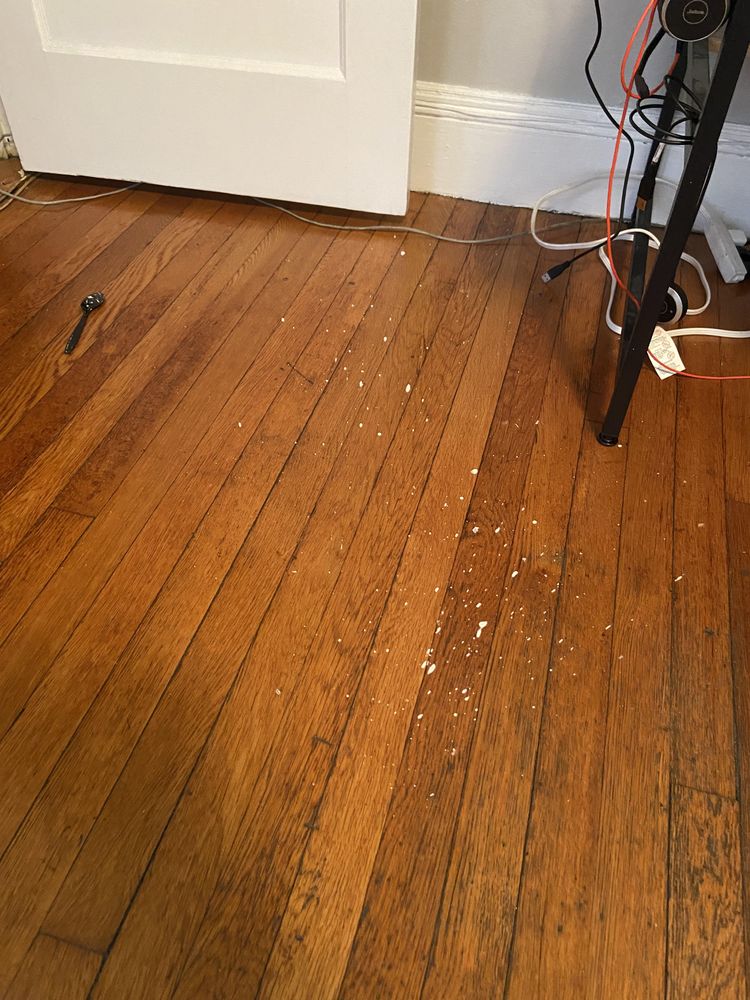 image-20230316182623-14