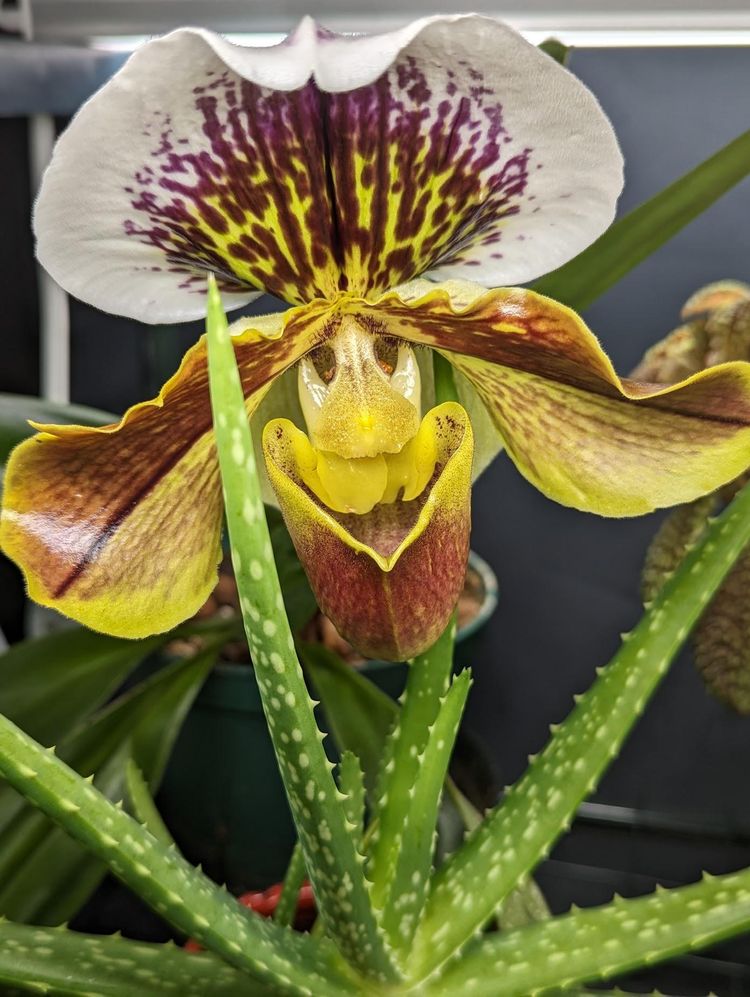 image-20230317120558-2