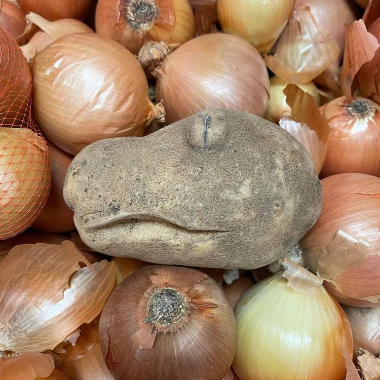 image-20230317120601-3