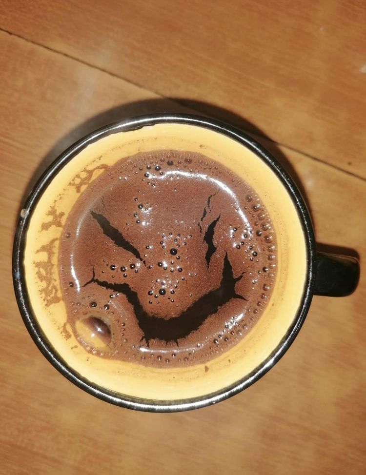 image-20230317120608-5