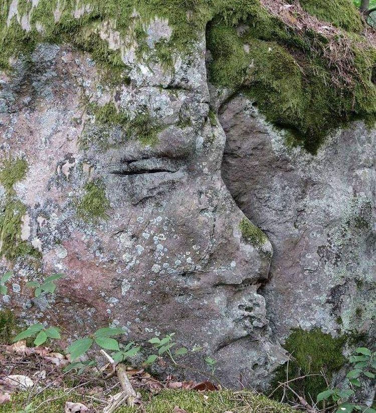 image-20230317120647-17