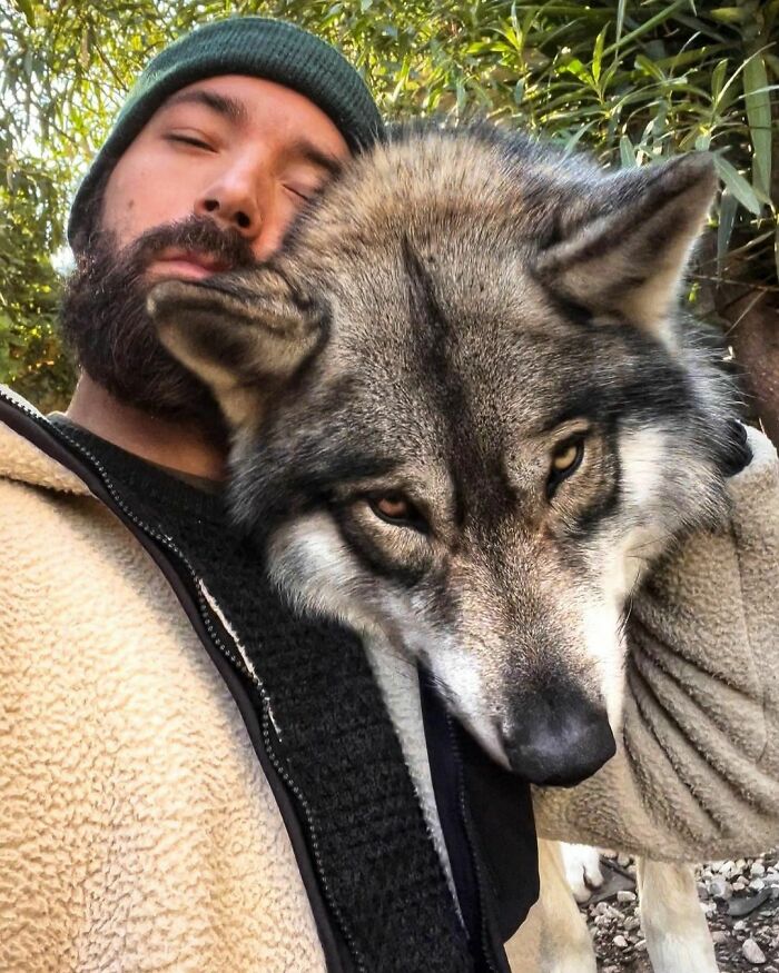 image-20230320111427-1