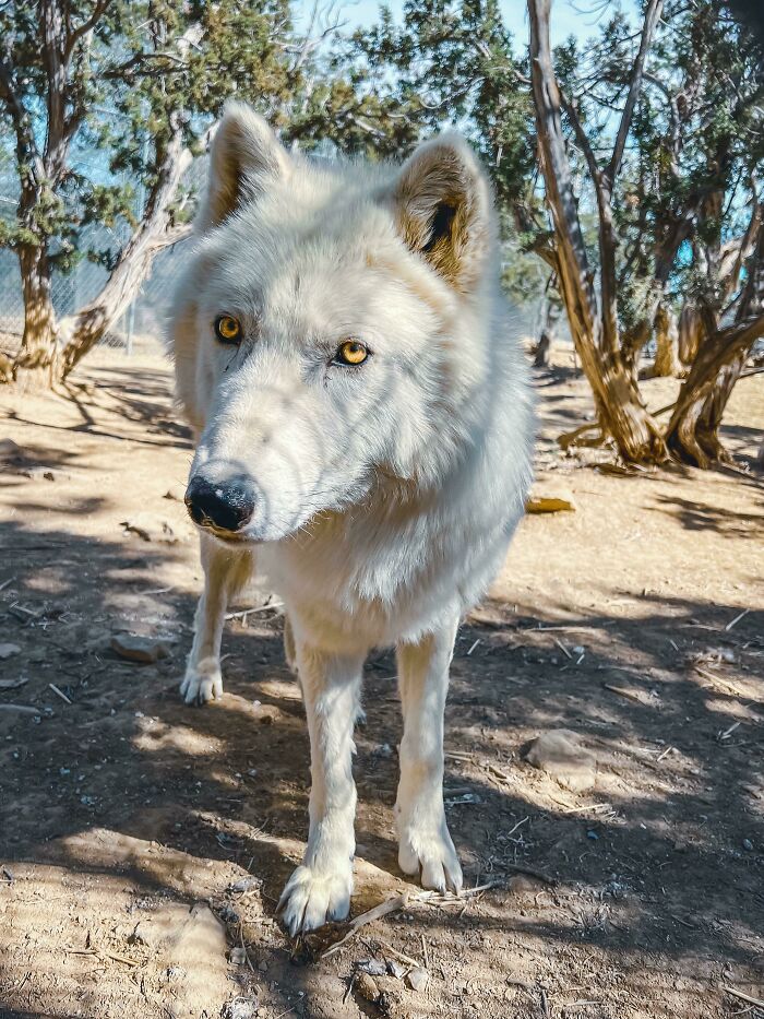 image-20230320111444-6