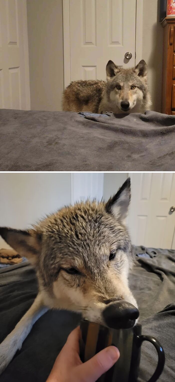 image-20230320111449-8