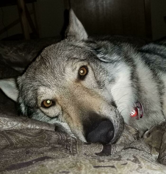 image-20230320111514-15