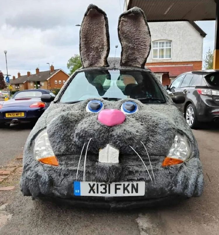 image-20230320123926-6