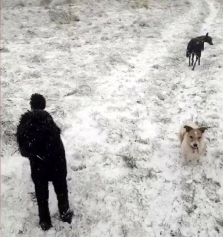 image-20230320152652-2