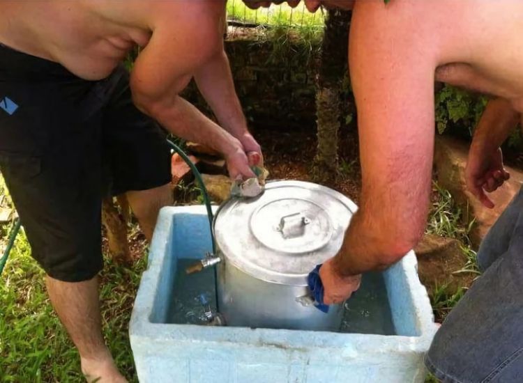 image-20230320155153-4