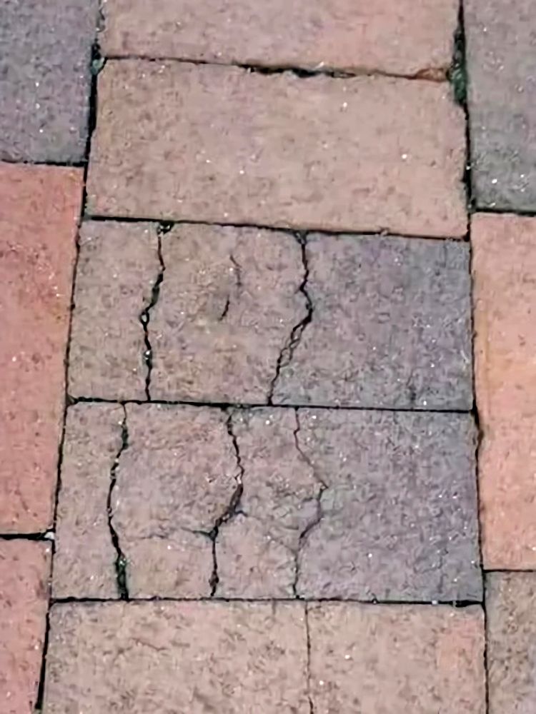 image-20230320155811-5