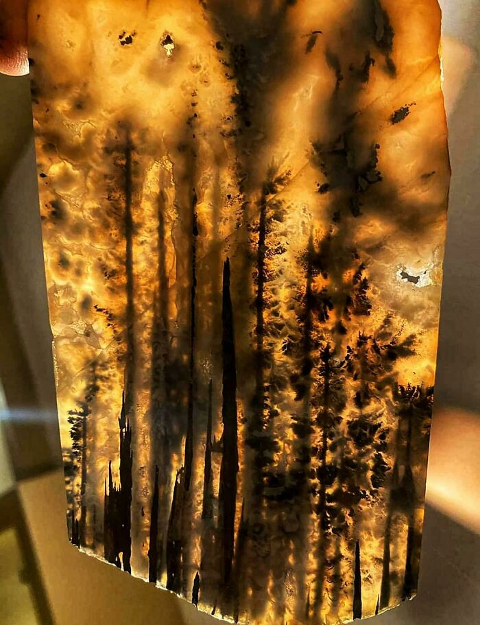 image-20230322131640-10