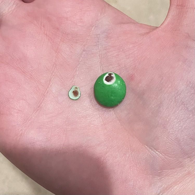 image-20230322131711-13