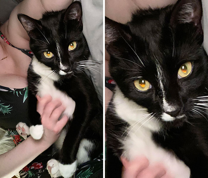 image-20230322131720-16